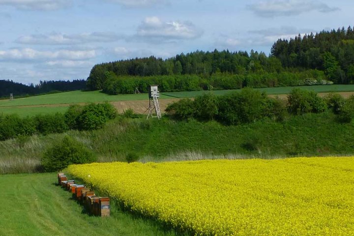 Bilder im Jahresverlauf