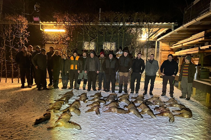 Gänsestrich und Raubwildbejagung