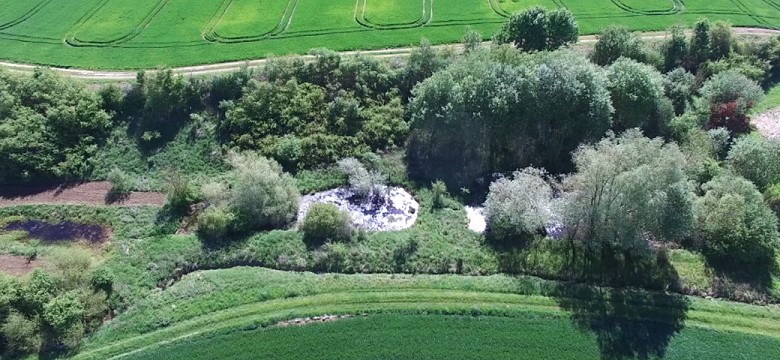 Kettershausener Schwende Biotop