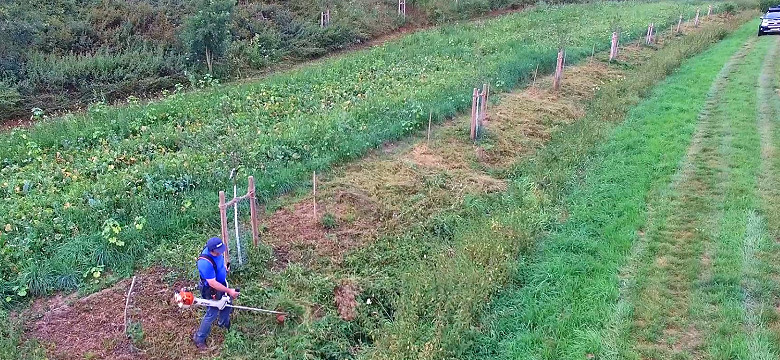 Kettershausener Schwende Biotop - Entwicklung