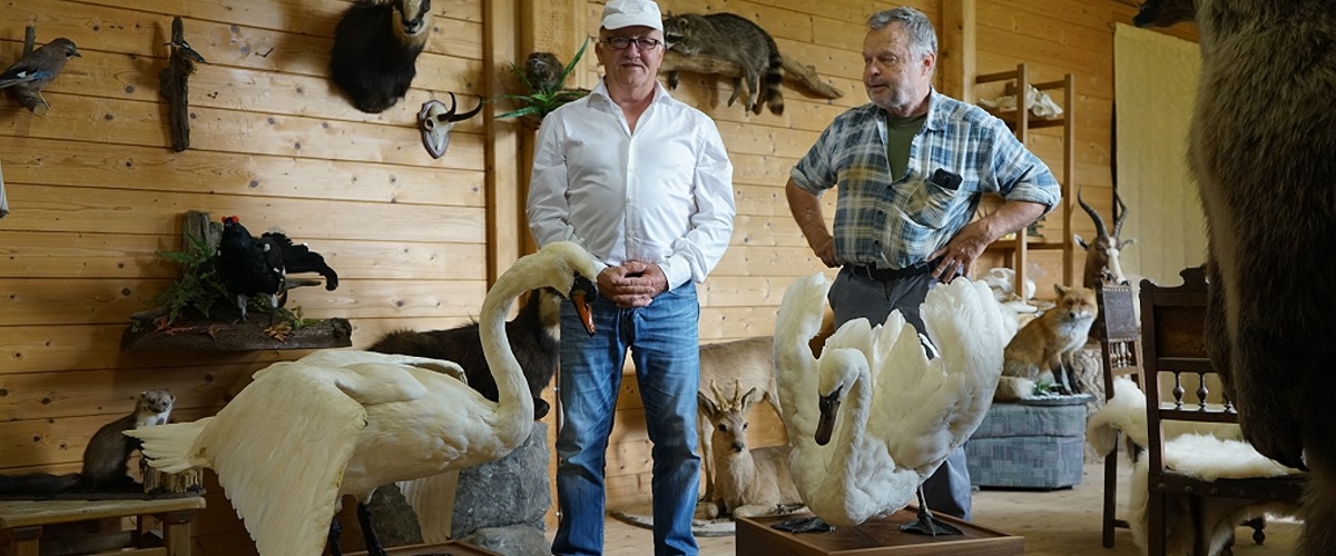 Taxidermy - ein künstlerisches Atelier