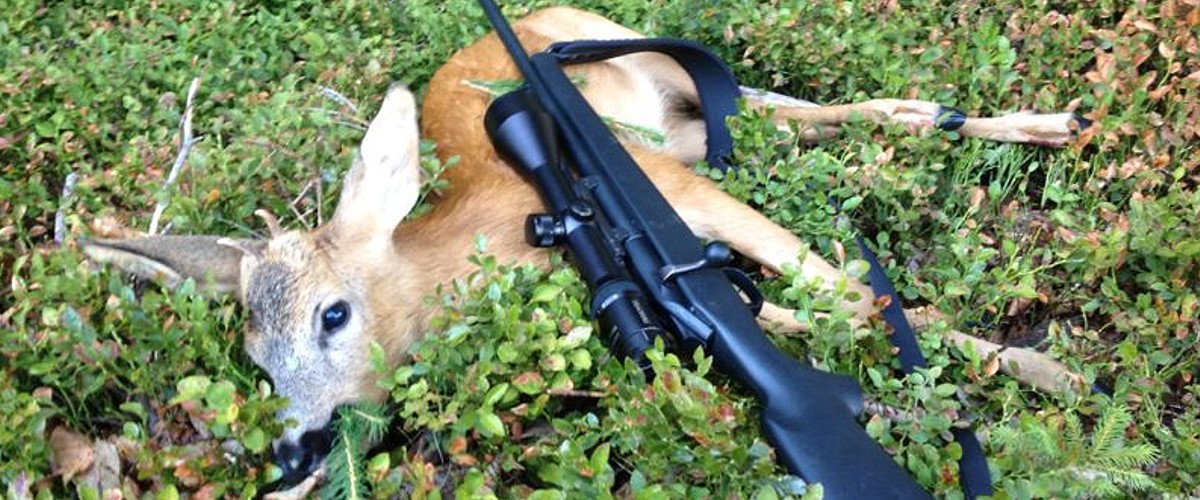 Blattjagd der angehenden Jungjäger